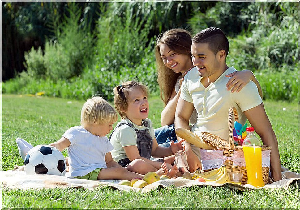 Family on a picnic in the field.