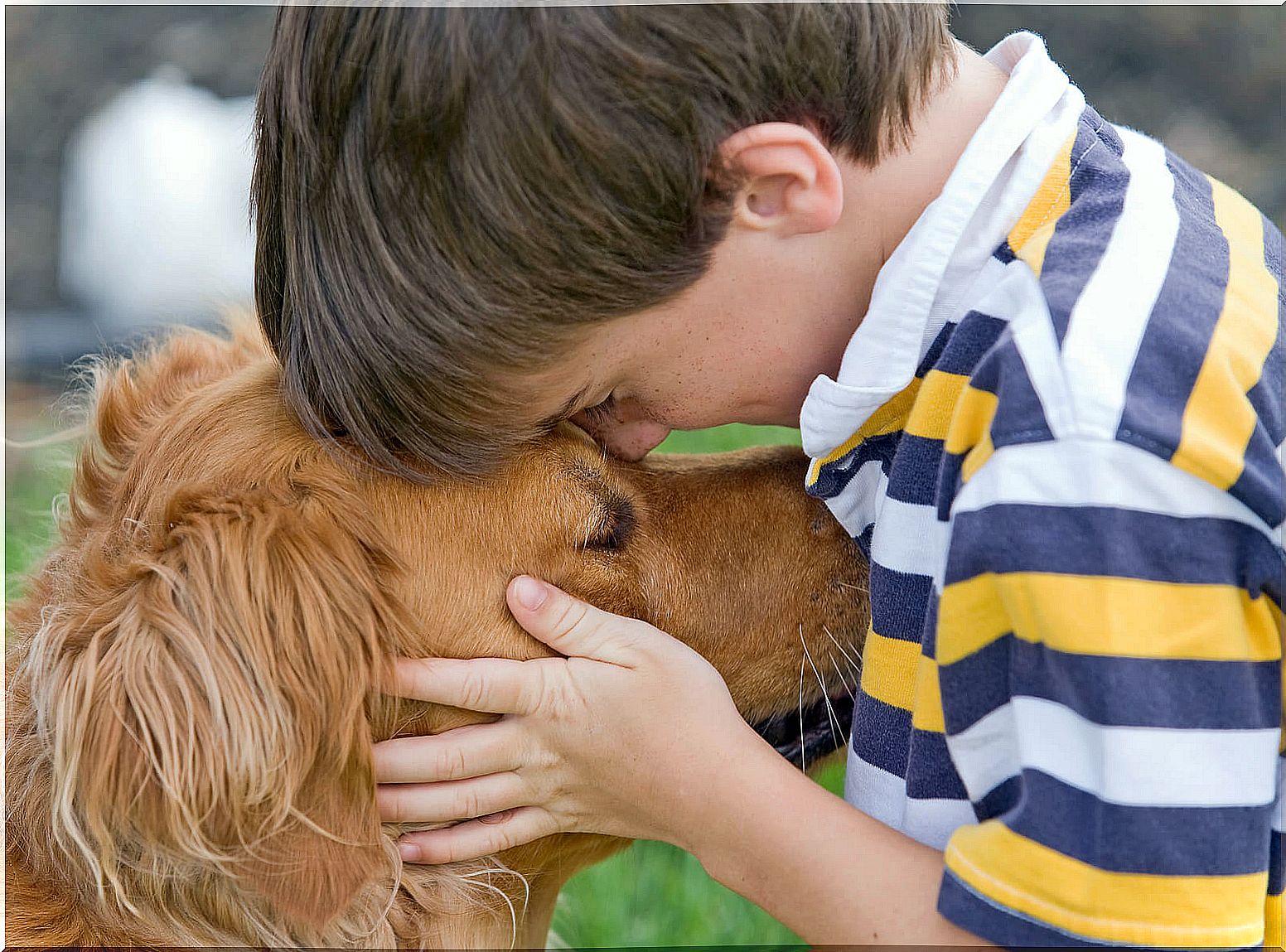 How to tell a child that their pet has died?