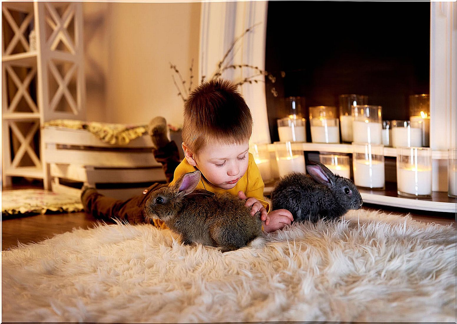 Boy playing with his pet rabbits.