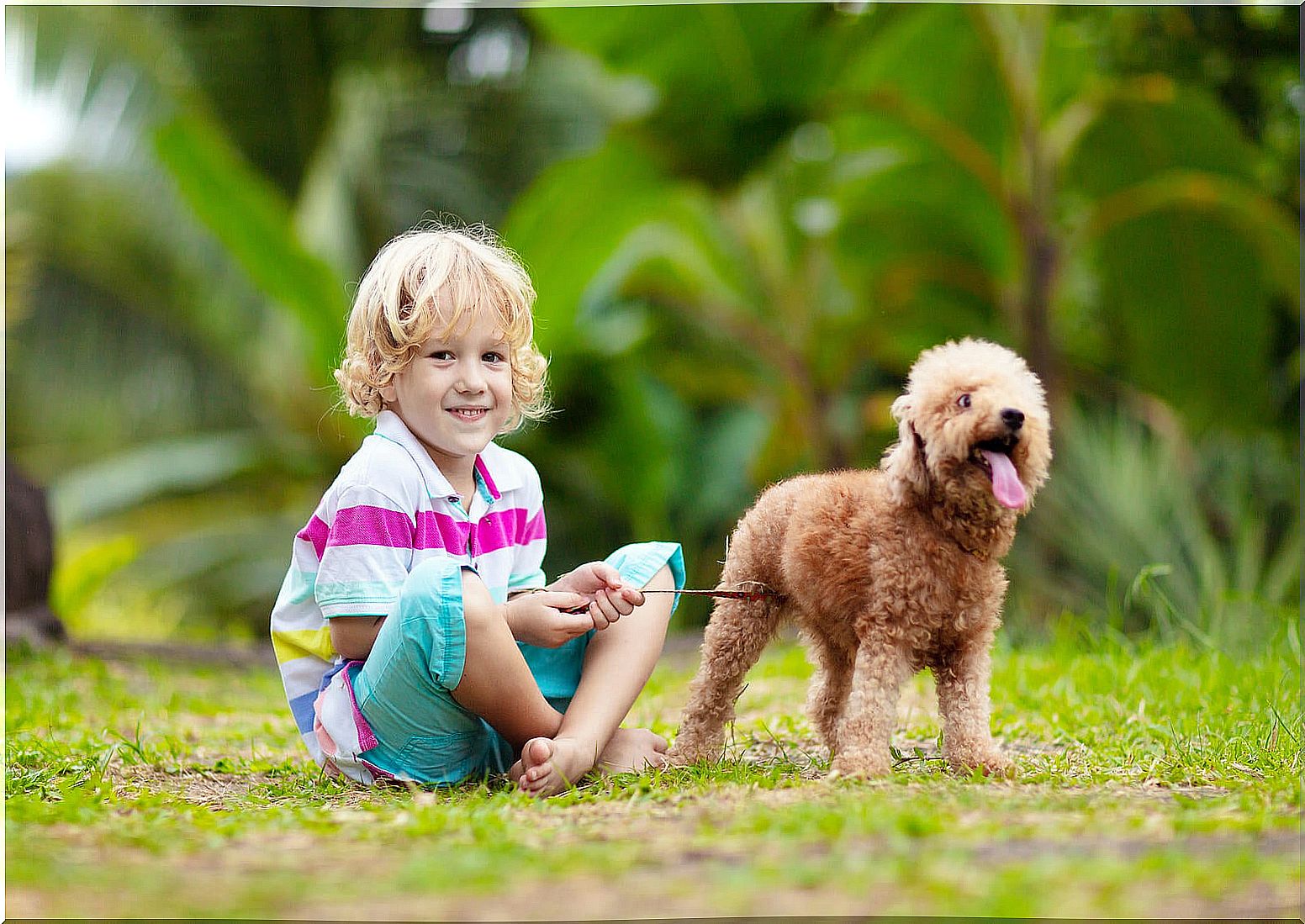 Boy with his dog in the park before learning that his other pet has died.