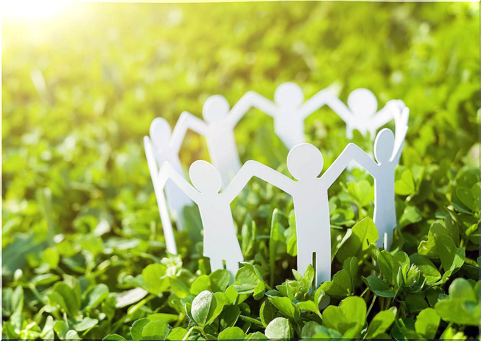 Paper dolls on the grass.