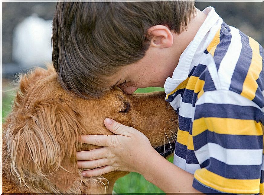 The most suitable types of dogs for children should be analyzed, since not all animals are integrated into the home.