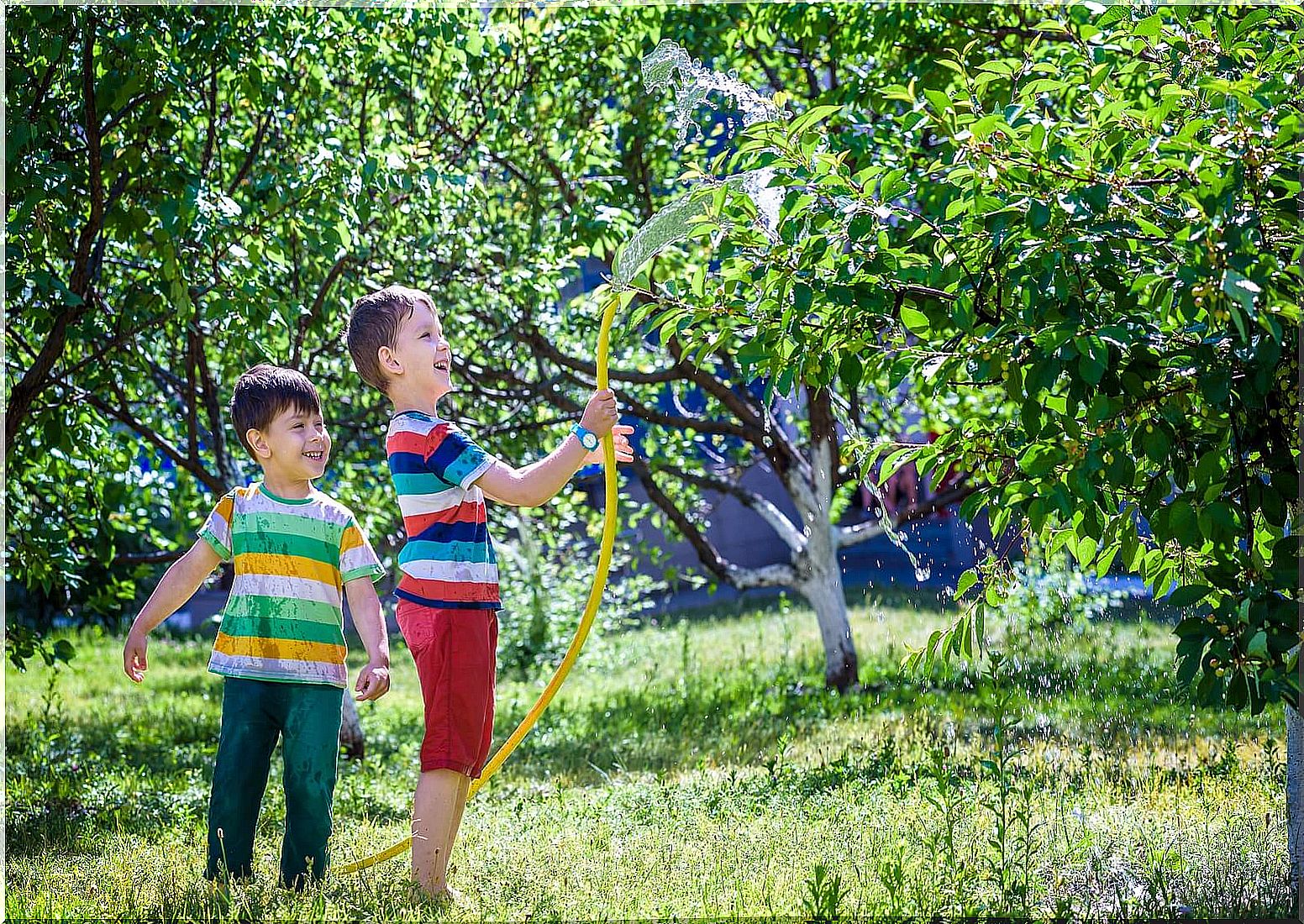 Children watering the trees and plants in the garden.